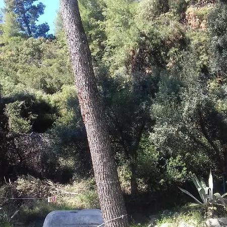 Romance Stone Cozy On The σκιώνη παραθεριστική Hotel Nea Skioni