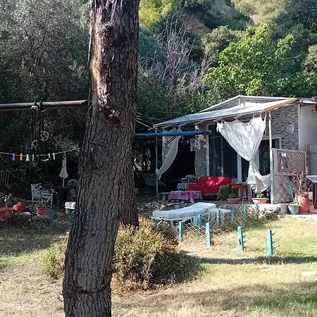 Romance Stone Cozy On The σκιώνη παραθεριστική 3* Νέα Σκιώνη